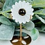 Selenite & Gold Tigers Tiger's Eye Daisy on Gold Pin Stand - 4" Flower Carving