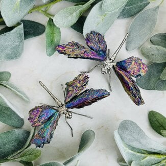 Black Kyanite (Rainbow Aura) Dragonfly Dragonflies Silver Body Legs - Medium Rough Raw Natural