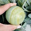 Green Calcite Spheres Orb Globe - 55-60mm