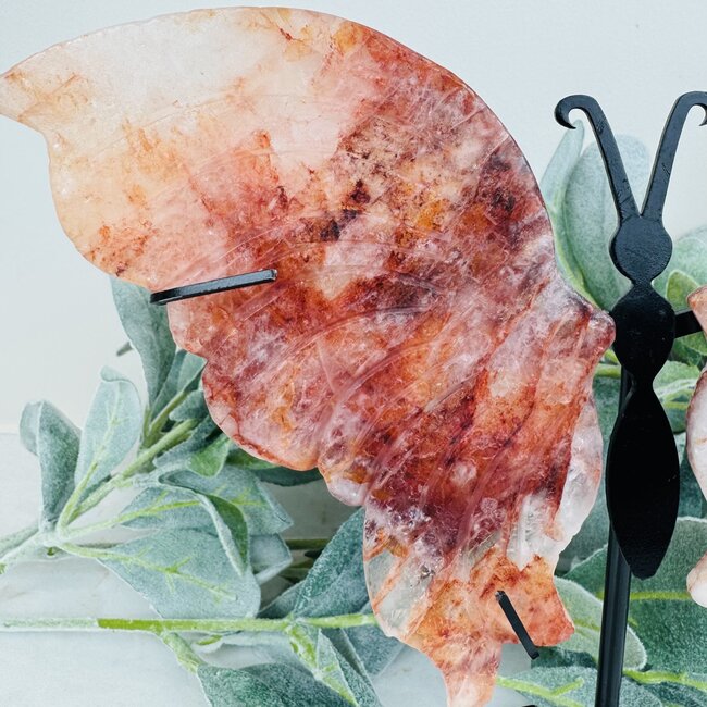 Fire & Golden (Red Yellow Hematoid) Quartz Butterfly Angel Wings on Black Pin Stand - 9.5" Large Animal Figurine Butterflies
