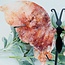 Fire & Golden (Red Yellow Hematoid) Quartz Butterfly Angel Wings on Black Pin Stand - 9.5" Large Animal Figurine Butterflies