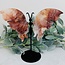 Fire & Golden (Red Yellow Hematoid) Quartz Butterfly Angel Wings on Black Pin Stand - 9.5" Large Animal Figurine Butterflies