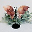 Fire & Golden (Red Yellow Hematoid) Quartz Butterfly Angel Wings on Black Pin Stand - 9.5" Large Animal Figurine Butterflies