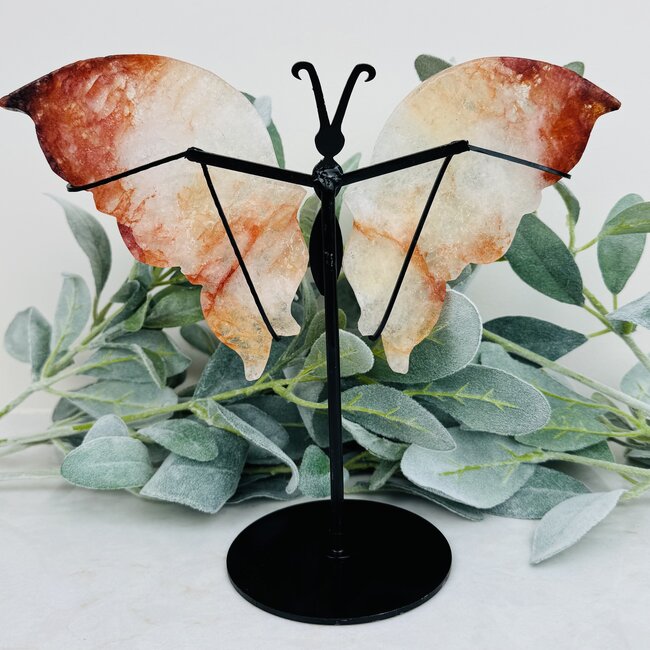 Fire (Red Hematoid) Quartz Butterfly Angel Wings on Black Pin Stand - 9.5" Large Animal Figurine Butterflies