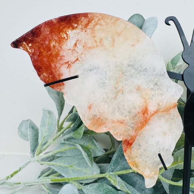 Fire (Red Hematoid) Quartz Butterfly Angel Wings on Black Pin Stand - 9.5" Large Animal Figurine Butterflies
