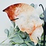 Fire (Red Hematoid) Quartz Butterfly Angel Wings on Black Pin Stand - 9.5" Large Animal Figurine Butterflies