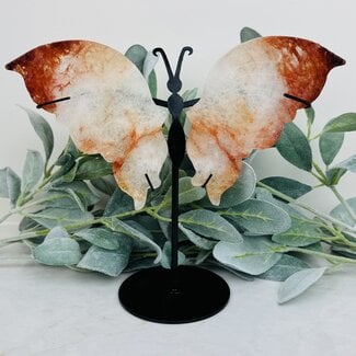 Fire (Red Hematoid) Quartz Butterfly Angel Wings on Black Pin Stand - 9.5" Large Animal Figurine Butterflies