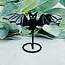 Black Obsidian Bats on Black Stand Pin - 3"x4" Carving Figurine