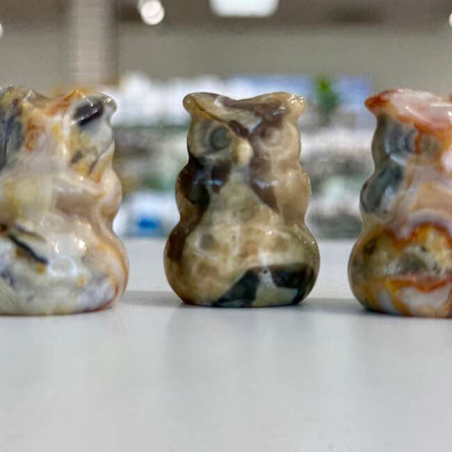Crazy Lace Agate Owl on Pumpkin - 1" Small Figurine Animal Carving Statue