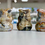 Crazy Lace Agate Owl on Pumpkin - 1" Small Figurine Animal Carving Statue