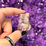 Chevron Amethyst Owl on Pumpkin - 1" Small Figurine Animal Carving Statue