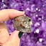 Bloodstone (Seftonite Septonite Setonite Heliotrope) Skull - Small 1.25" Carvings Figurines
