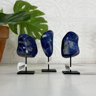 Sodalite Tumbled Free Form on Black Pin Stand - 3.5" Home Decor