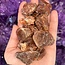 Red Calcite .5-1" Medium Rough Raw Natural