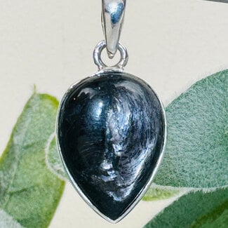 Hypersthene Pendants - Reverse Teardrop Pear Bezel Set - Sterling Silver