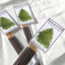Moldavite Incense Sticks - 15 Sticks/Pkg
