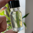Moldavite Oils – 10mL