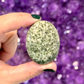 Tree Agate Palm Pillow Pocket Stones