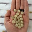 Libyan Tektite Desert Glass (Great Sand Sea Glass Lechatelierite) Beads - 10mm