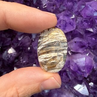 Arizona Pietersite Palm Pillow Pocket Stones