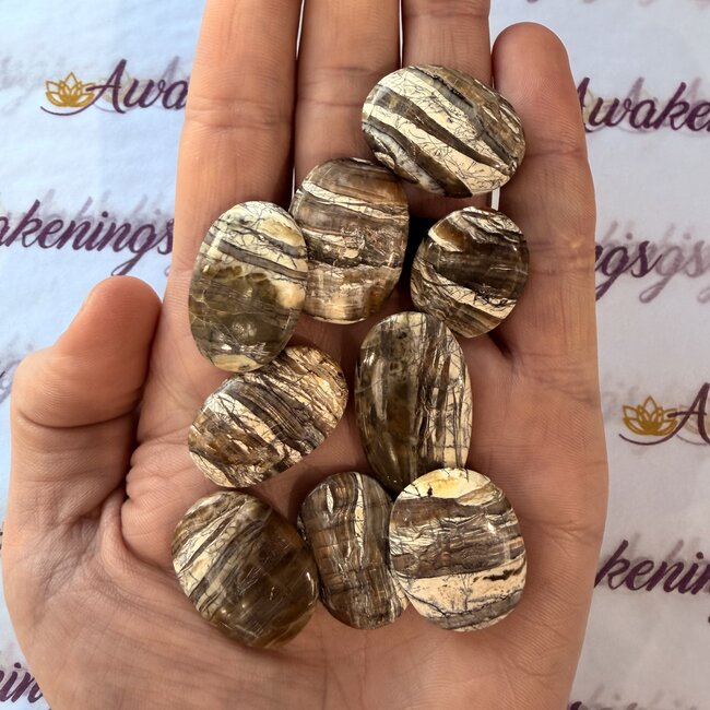Arizona Pietersite Palm Pillow Pocket Stones