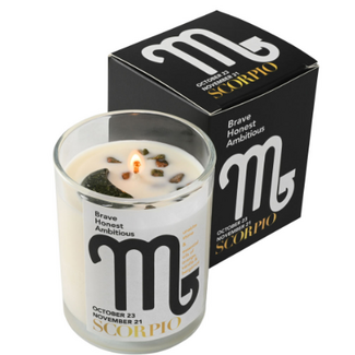 Scorpio Zodiac Candles - Unakite Jasper - 10oz Essential Oil (Orange Vanilla & Bergamot) Soy Wax - Astrology