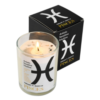 Pisces Zodiac Candles - Amazonite - 10oz Essential Oil Soy Wax - Astrology