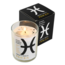 Pisces Zodiac Candles - Amazonite - 10oz Essential Oil Soy Wax - Astrology