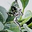 Moldavite Fairy Pendant - Marquise Faceted Wings Claw Prong Set - Sterling Silver