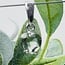 Moldavite Pendants - Heart Faceted - Claw Prong Set Sterling Silver