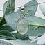 Libyan Tektite Desert Glass (Great Sand Sea Glass Lechatelierite) Pendants - Oval Bezel Set - Sterling Silver