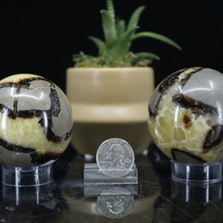 Septarian (Dragon Stone) Jasper Spheres Orb - 60-65mm