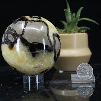 Septarian (Dragons Stone) Jasper Spheres Orb Globe - 90-95mm