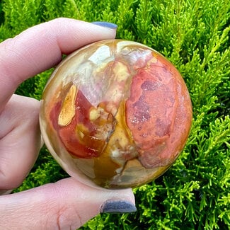 Petrified Wood Spheres Orb Globe - 55-60mm