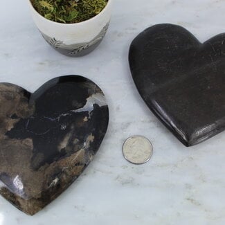 Petrified Wood Hearts - Large 4"