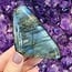 Labradorite Free Forms - Medium (2-3") Flat Base