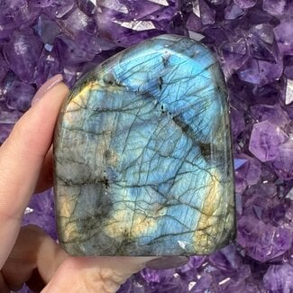 Labradorite Free Forms - Medium (2-3") Flat Base