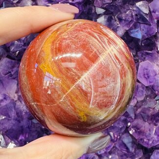 Petrified Wood Spheres Orb Globe - 55-60mm
