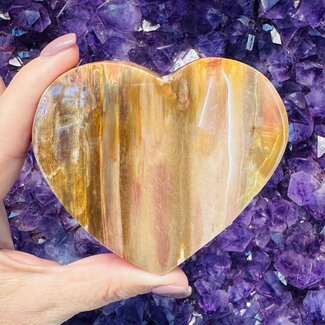 Petrified Wood Hearts - Medium 3.5"