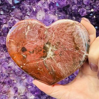 Petrified Wood Hearts - Large 4"