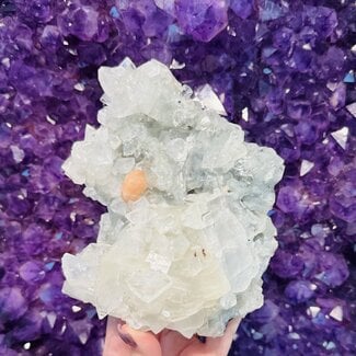 Blue Gray Apophyllite (Zeolite) & Pink Orange Stilbite (Stillbite) Clusters - Rough Raw Natural - XXL Extra Extra Large 6-10"