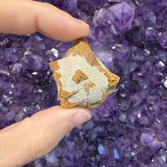 Glendonite (Large) - Rough Raw Natural