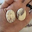 Alunite Palm Pillow Pocket Stone