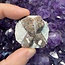 Staurolite (Fairy Cross Stone) - Natural Rough Raw