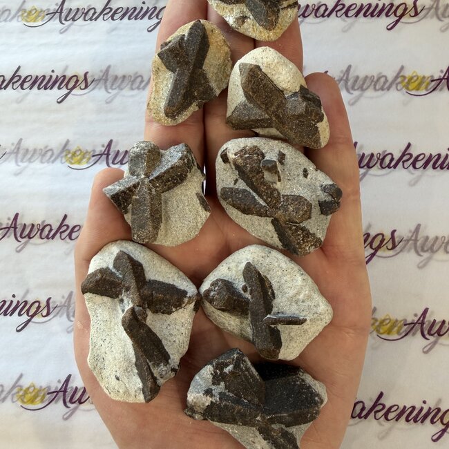 Staurolite (Fairy Cross Stone) - Natural Rough Raw