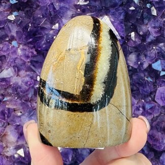 Septarian Jasper (Dragon Stone) Free Form - Small (2.5-3")