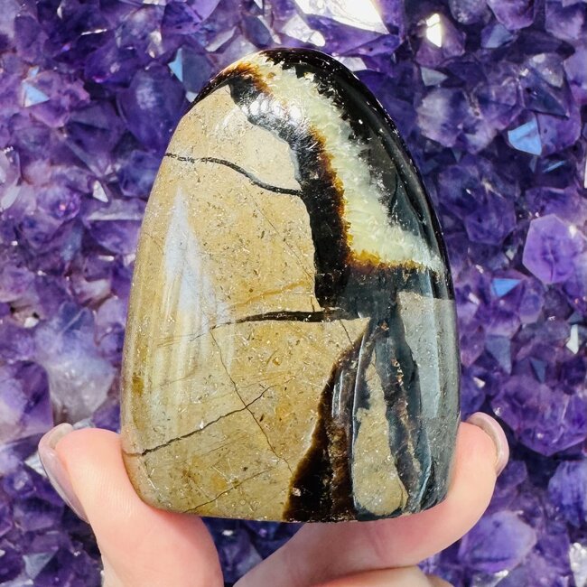 Septarian Jasper (Dragon Stone) Free Form - Small (2.5-3")