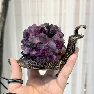 Purple Rainbow Fluorite Snail Lamps - Bronze LED USB - Rough Raw Natural