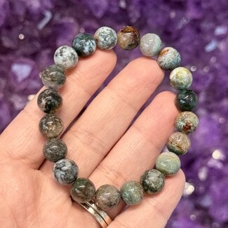 Starry Ocean Jasper Bracelets - 10mm