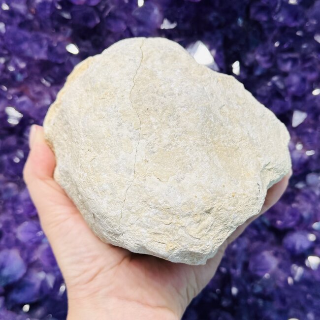 Clear Crystal Quartz Geodes - Medium (Pair Set) Rough Raw Natural - 4-6" Already Split Cracked Open